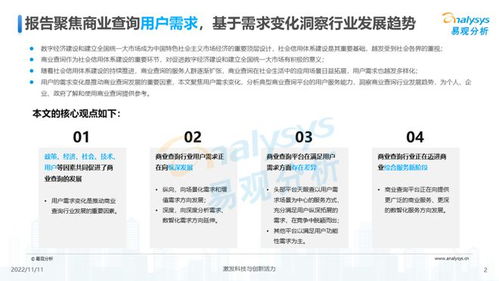 透視用戶(hù)需求深挖服務(wù)潛力 《2022中國(guó)商業(yè)查詢(xún)行業(yè)洞察》